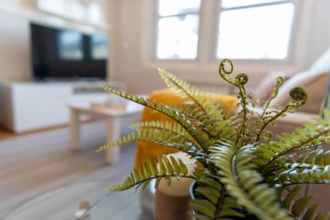 Urzaiz Centro Vigo Apartment Ngoại thất bức ảnh